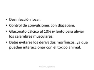 • Desinfección local.
• Control de convulsiones con diazepam.
• Gluconato cálcico al 10% iv lento para aliviar
  los calambres musculares.
• Debe evitarse los derivados morfínicos, ya que
  pueden interaccionar con el toxico animal.



                   Rosas Urías Jorge Alberto
 