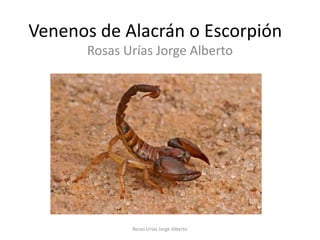 Venenos de Alacrán o Escorpión
      Rosas Urías Jorge Alberto




             Rosas Urías Jorge Alberto
 