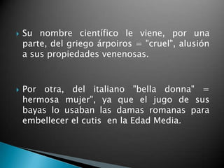    Su nombre científico le viene, por una
    parte, del griego árpoiros = "cruel", alusión
    a sus propiedades venenosas.



   Por otra, del italiano "bella donna" =
    hermosa mujer", ya que el jugo de sus
    bayas lo usaban las damas romanas para
    embellecer el cutis en la Edad Media.
 