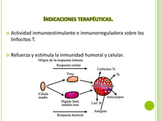 INDICACIONES TERAPÉUTICAS.


Actividad inmunoestimulante e inmunorreguladora sobre los
linfocitos T.



Refuerza y estimula la inmunidad humoral y celular.

 