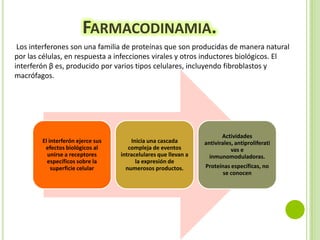 FARMACODINAMIA.
Los interferones son una familia de proteínas que son producidas de manera natural
por las células, en respuesta a infecciones virales y otros inductores biológicos. El
interferón β es, producido por varios tipos celulares, incluyendo fibroblastos y
macrófagos.

El interferón ejerce sus
efectos biológicos al
unirse a receptores
específicos sobre la
superficie celular

Inicia una cascada
compleja de eventos
intracelulares que llevan a
la expresión de
numerosos productos.

Actividades
antivirales, antiproliferati
vas e
inmunomoduladoras.
Proteínas específicas, no
se conocen

 