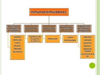 Inmunoestimuladores.

FACTORE
ESTIMULANTE DE
COLONIAS
ADIMOD.
BIOCILCIN.

INTERFERONES

interferón alfa
2b, gamma
1b, beta 1a

INTERLEUCINAS

PROLEUKIN

INMUNOGLOBUL
INAS

PRODUCTOS
BACTERIANOS Y
FUNGICOS.

VIGAM

INMUNOL

PENTAGLOBIN

ISMIGEN

FILATIL

ONCOTICE

GRUMAL.

RIBOVAC.

INMUNEF

BRONCHO
VOXAM

NEUPOGEN

CULTIVO DE BCG
SSI.

 