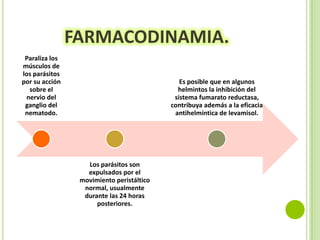 FARMACODINAMIA.
Paraliza los
músculos de
los parásitos
por su acción
sobre el
nervio del
ganglio del
nematodo.

Es posible que en algunos
helmintos la inhibición del
sistema fumarato reductasa,
contribuya además a la eficacia
antihelmíntica de levamisol.

Los parásitos son
expulsados por el
movimiento peristáltico
normal, usualmente
durante las 24 horas
posteriores.

 