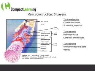 Vein construction: 3 Layers
                                 Tunica adventitia
                                 Connective tissue
                                 Surrounds, supports

                                 Tunica media
                                 Muscular tissue
                                 Contracts and relaxes

                                 Tunica intima
                                 Smooth endothelial cells
                                 Valves




    TI CMPP:CANNU&VENE 0019/09
 