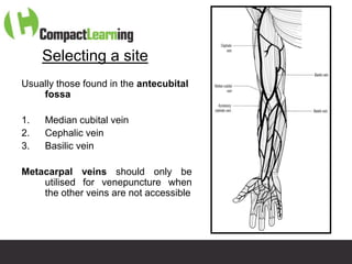 Selecting a site
Usually those found in the antecubital
    fossa

1.   Median cubital vein
2.   Cephalic vein
3.   Basilic vein

Metacarpal veins should only be
    utilised for venepuncture when
    the other veins are not accessible




                       TI CMPP:CANNU&VENE 0019/09
 