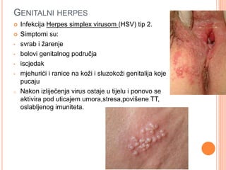 GENITALNI HERPES
 Infekcija Herpes simplex virusom (HSV) tip 2.
 Simptomi su:
• svrab i žarenje
• bolovi genitalnog područja
• iscjedak
• mjehurići i ranice na koži i sluzokoži genitalija koje
pucaju
o Nakon izliječenja virus ostaje u tijelu i ponovo se
aktivira pod uticajem umora,stresa,povišene TT,
oslabljenog imuniteta.
 