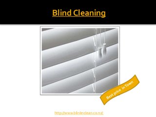 Blind Cleaning
http://www.blinknclean.co.nz/
 