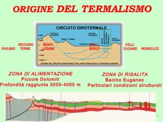 ORIGINE DEL TERMALISMO
ZONA DI ALIMENTAZIONE
Piccole Dolomiti
Profondità raggiunta 3000-4000 m
ZONA DI RISALITA
Bacino Euganeo
Particolari condizioni strutturali
CIRCUITO IDROTERMALE
RECOARO MONTI COLLI COLLI
PASUBIO TERME LESSINI BERICI EUGANEI MONSELICE
12
 