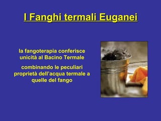 I Fanghi termali EuganeiI Fanghi termali Euganei
la fangoterapia conferisce
unicità al Bacino Termale
combinando le peculiari
proprietà dell’acqua termale a
quelle del fango
 