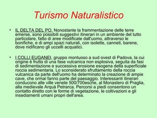 Turismo Naturalistico
• IL DELTA DEL PO. Nonostante la frammentazione delle terre
emerse, sono possibili suggestivi itinerari in un ambiente del tutto
particolare, fatto di aree modificate dall'uomo, attraverso le
bonifiche, e di ampi spazi naturali, con isolette, canneti, barene,
dove nidificano gli uccelli acquatici.
• I COLLI EUGANEI, gruppo montuoso a sud ovest di Padova, la cui
origine è frutto di una fase vulcanica non esplosiva, seguita da fasi
di sedimentazione e successiva erosione esogena della superficiale
roccia sedimentaria. Lo sconsiderato sfruttamento della roccia
vulcanica da parte dell'uomo ha determinato la creazione di ampie
cave, che ormai fanno parte del paesaggio. Interessanti itinerari
conducono alle ville venete 500/700esche, al Monastero di Praglia,
alla medievale Arquà Petrarca. Percorsi a piedi consentono un
contatto diretto con le forme di vegetazione, le coltivazioni e gli
insediamenti umani propri dell'area.
 