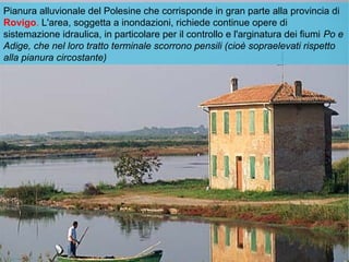 Pianura alluvionale del Polesine che corrisponde in gran parte alla provincia di
Rovigo. L'area, soggetta a inondazioni, richiede continue opere di
sistemazione idraulica, in particolare per il controllo e l'arginatura dei fiumi Po e
Adige, che nel loro tratto terminale scorrono pensili (cioè sopraelevati rispetto
alla pianura circostante)
 