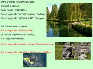Oltre al Parco NAZIONALE delle
Dolomiti Bellunesi
ed ai Parchi REGIONALI
Parco regionale dei Colli Euganei (Padova)
Parco regionale del Delta del Po (Rovigo)
Nel Veneto sono presenti:
Parco regionale del Fiume Sile
(9 comuni in provincia di Treviso,
1 a Padova e Venezia)
Parco regionale dei Monti Lessini (Verona Vicenza)
Parco regionale delle Dolomiti d’Ampezzo Belluno
 