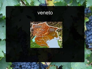 Veneto white wine overview | PPT