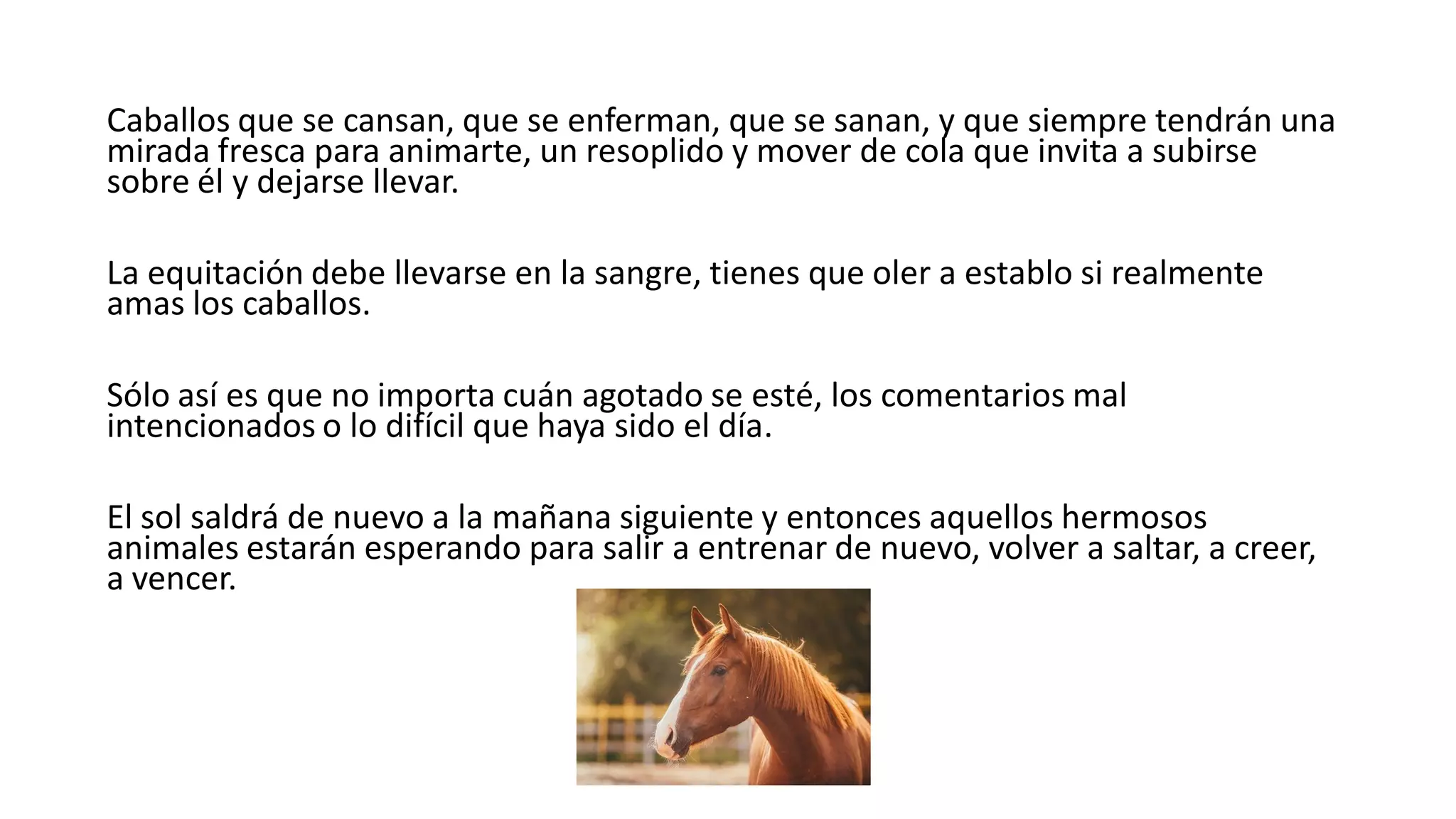 Caballos que se cansan, que se enferman, que se sanan, y que siempre tendrán una
mirada fresca para animarte, un resoplido y mover de cola que invita a subirse
sobre él y dejarse llevar.
La equitación debe llevarse en la sangre, tienes que oler a establo si realmente
amas los caballos.
Sólo así es que no importa cuán agotado se esté, los comentarios mal
intencionados o lo difícil que haya sido el día.
El sol saldrá de nuevo a la mañana siguiente y entonces aquellos hermosos
animales estarán esperando para salir a entrenar de nuevo, volver a saltar, a creer,
a vencer.
 
