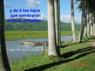 y de ti los hijos  que sembrarán nuevas estrellas... RÍO DE AGUA, EDO. SUCRE 