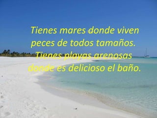 Tienes mares donde viven peces de todos tamaños.  Tienes playas arenosas  donde es delicioso el baño. 