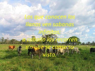 Los que conocen los Ilanos ven sabanas infinitas; a caballo las recorren sin que se canse su vista. 