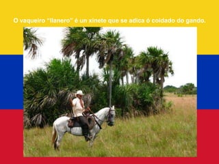 O vaqueiro “llanero” é un xinete que se adica ó coidado do gando.
 