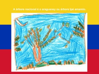 A árbore nacional é o araguaney ou árbore Ipé amarelo.
 