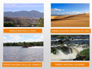 PARQUE NACIONAL DELTA DEL ORINOCO
PARQUE NACIONAL MEDANOS DE COROPARQUE NACIONAL EL AVILA
PARQUE NACIONAL CACHAMAY
 