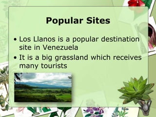 Popular Sites
• Los Llanos is a popular destination
site in Venezuela
• It is a big grassland which receives
many tourists
 