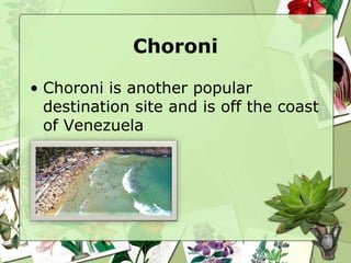 Choroni
• Choroni is another popular
destination site and is off the coast
of Venezuela
 