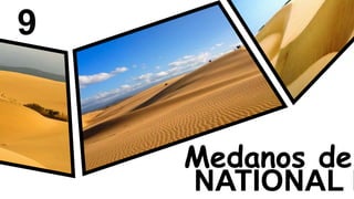 9
Medanos de
NATIONAL P
 