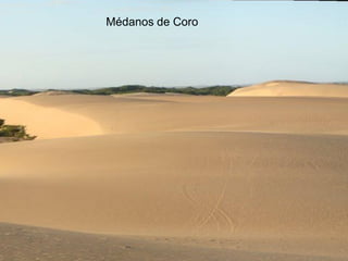 Parque “El Cardenalito”
Médanos de Coro
 