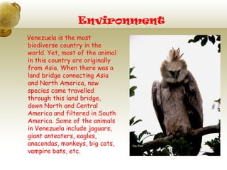 Environment
Venezuela is the most
biodiverse country in the
world. Yet, most of the animal
in this country are originally
from Asia. When there was a
land bridge connecting Asia
and North America, new
species came travelled
through this land bridge,
down North and Central
America and filtered in South
America. Some of the animals
in Venezuela include jaguars,
giant anteaters, eagles,
anacondas, monkeys, big cats,
vampire bats, etc.
 