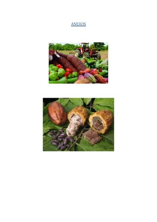 ANEXOS
 