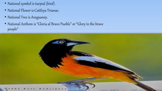 • National symbol is turpial (bird).
• National Flower is Cattleya Trianae.
• National Tree is Araguaney.
• National Anthem is “Gloria al Bravo Pueblo” or “Glory to the brave
people”
 