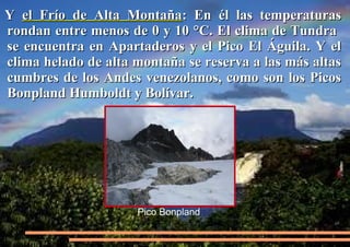 Y el Frío de Alta Montaña: En él las temperaturas
rondan entre menos de 0 y 10 °C. El clima de Tundra
se encuentra en Apartaderos y el Pico El Águila. Y el
clima helado de alta montaña se reserva a las más altas
cumbres de los Andes venezolanos, como son los Picos
Bonpland Humboldt y Bolívar.

Pico Bonpland

 
