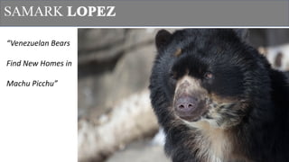 1
“Venezuelan	Bears	
Find	New	Homes	in	
Machu	Picchu”
 