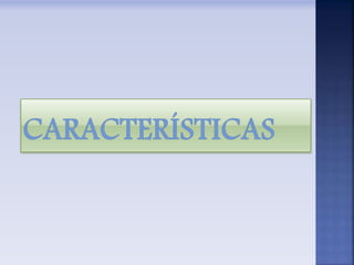 Organizacion En El Nuevo Modelo Social Ppt