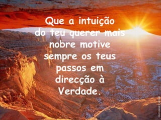 Que a intuição do teu querer mais nobre motive sempre os teus passos em direcção à Verdade. 
