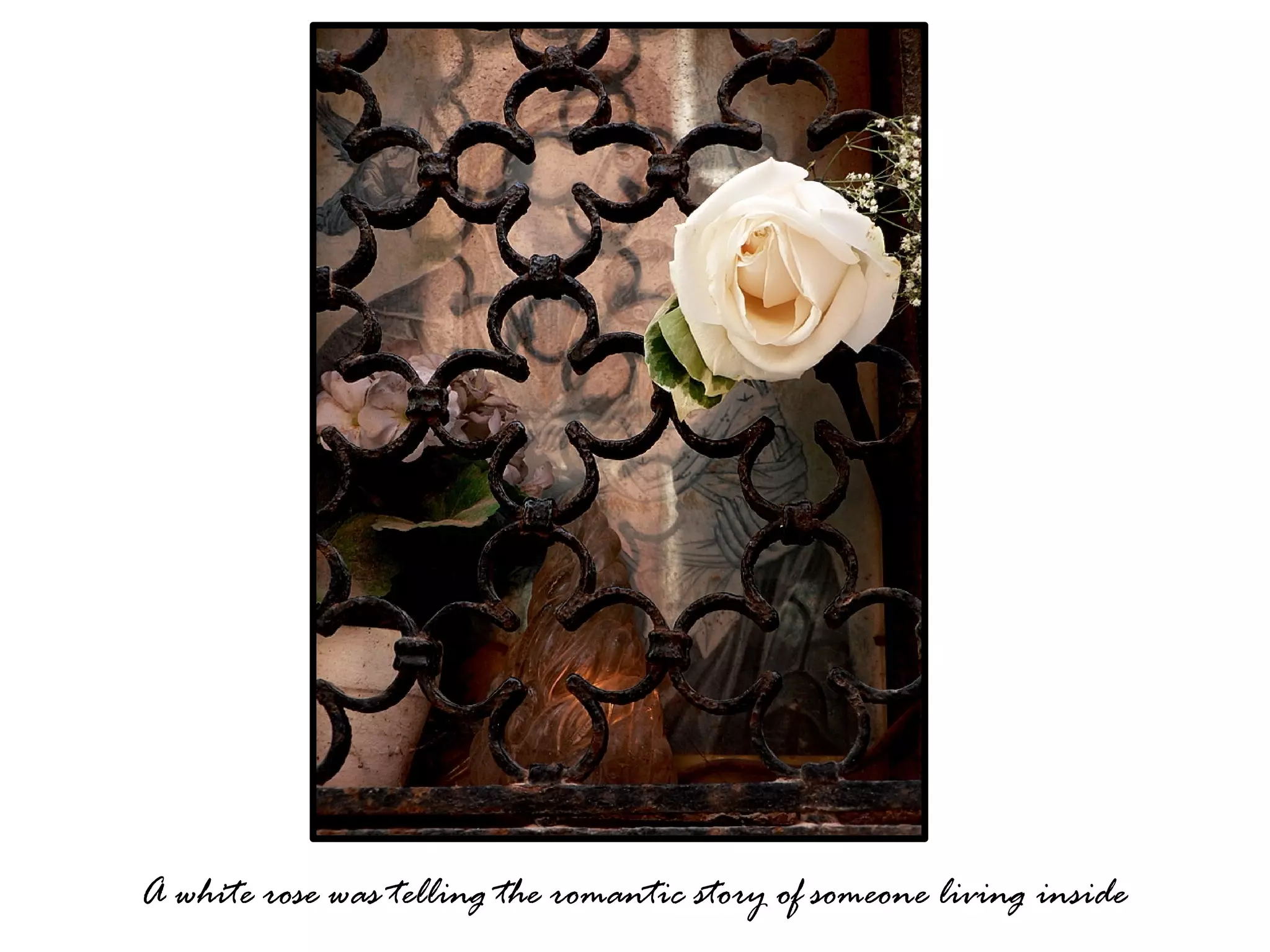 Venice, The City On Water (Please see full screen)