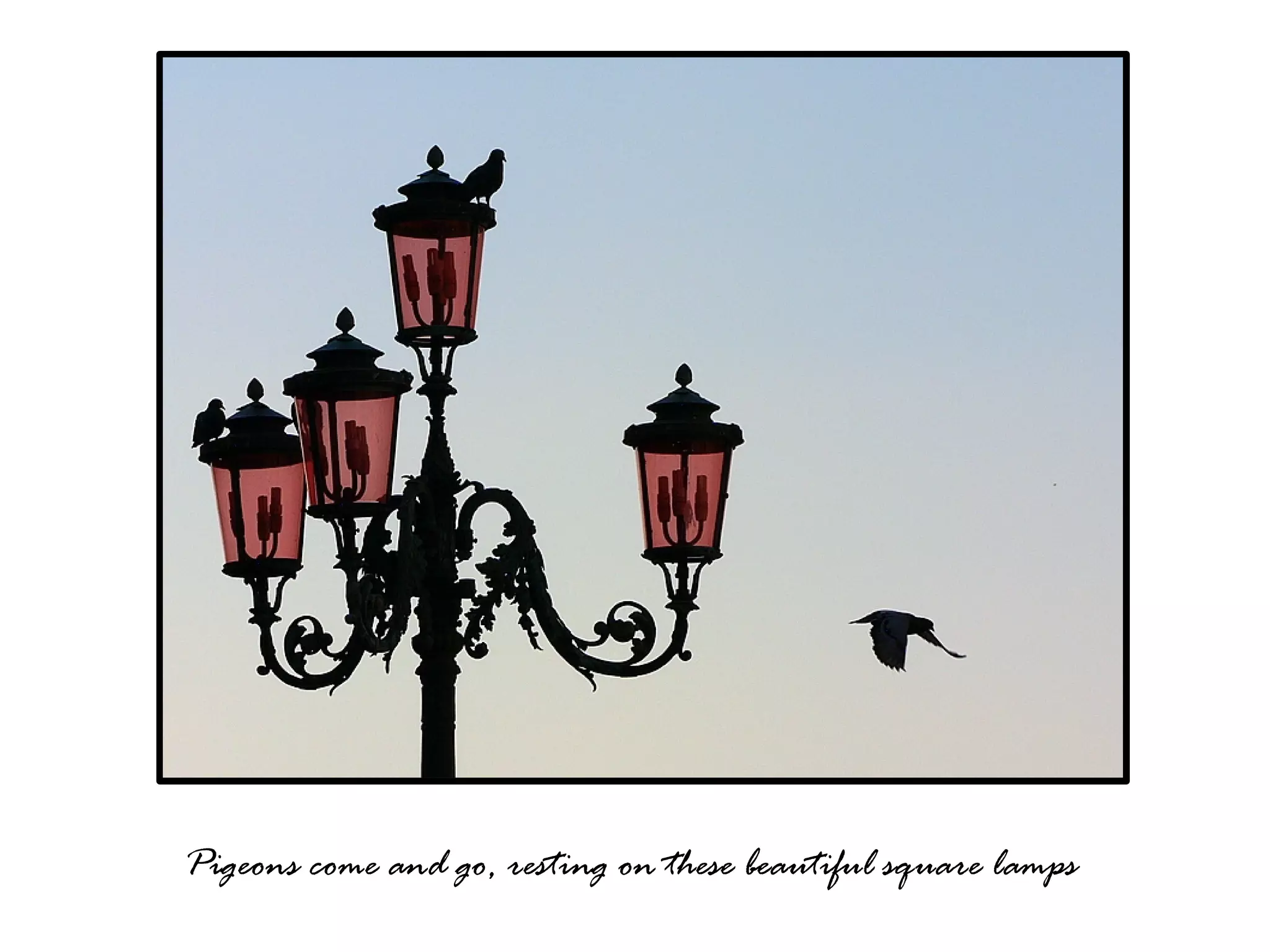 Venice, The City On Water (Please see full screen)