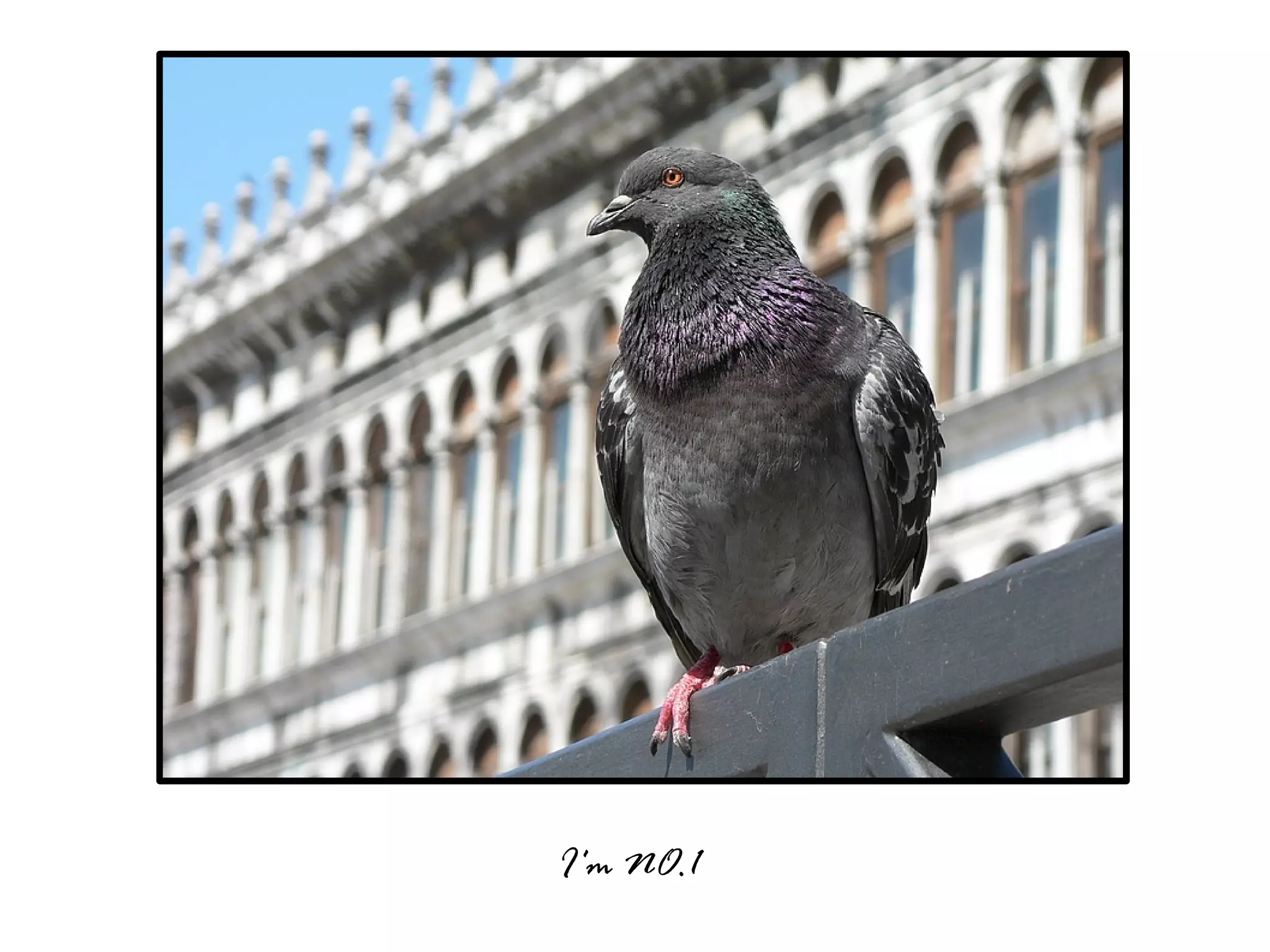 Venice, The City On Water (Please see full screen)