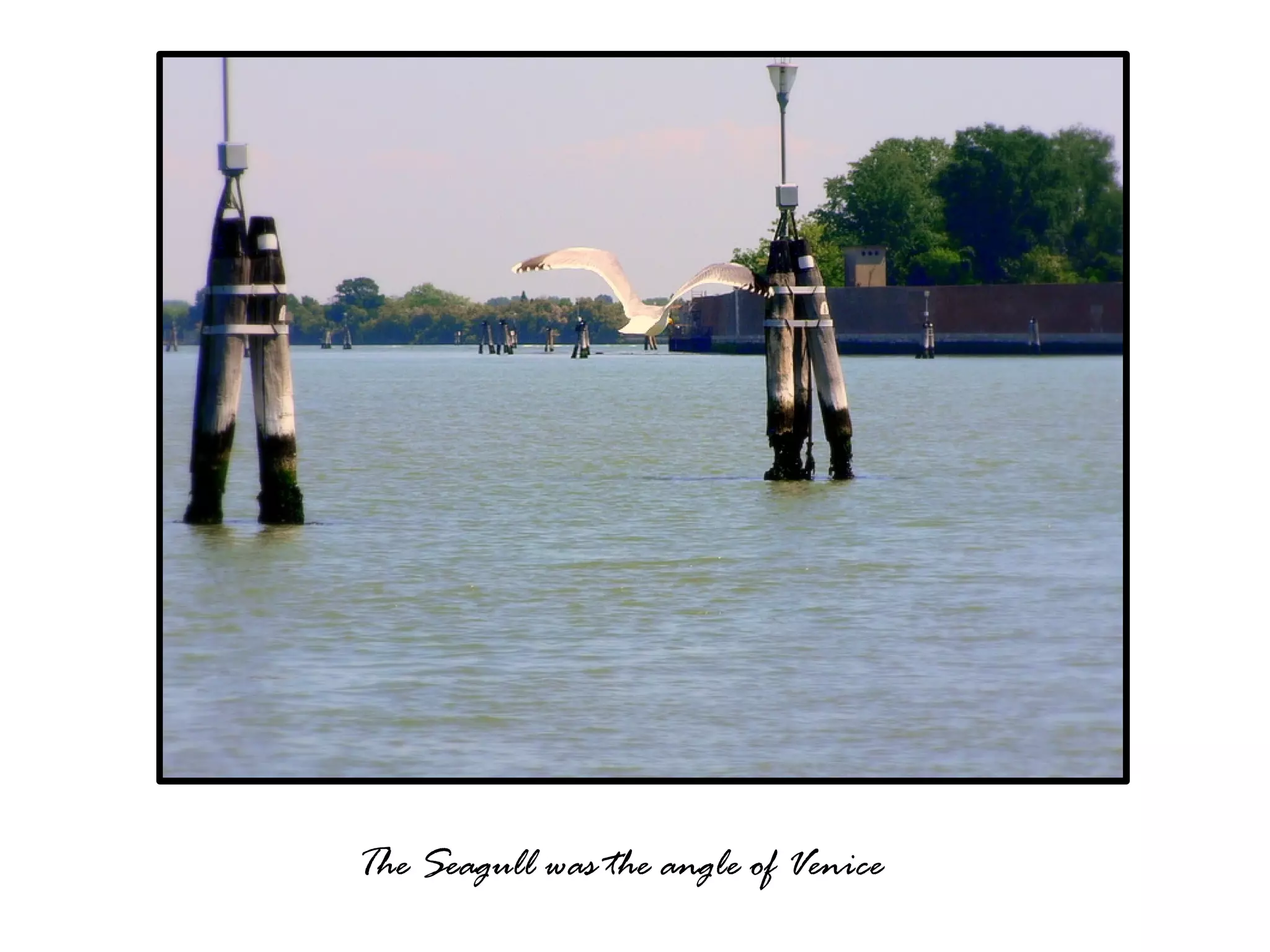 Venice, The City On Water (Please see full screen)