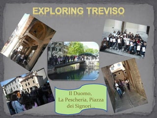 Il Duomo,
La Pescheria, Piazza
    dei Signori…
 