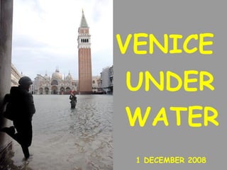 VENICE  1 DECEMBER 2008 UNDER WATER 