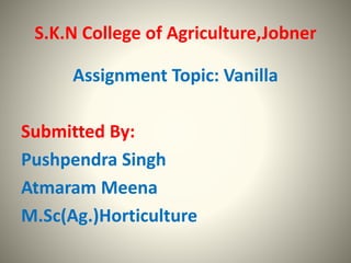 S.K.N College of Agriculture,Jobner
Assignment Topic: Vanilla
Submitted By:
Pushpendra Singh
Atmaram Meena
M.Sc(Ag.)Horticulture
 