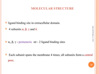 MOLECULAR STRUCTURE 
 ligand binding site in extracellular domain. 
 4 subunits α, β, γ and δ. 
 α2, β, γ - pentameric str - 2 ligand binding sites 
RECEPTORS @ VPC 
 Each subunit spans the membrane 4 times; all subunits form a central 
pore. 
10 
 