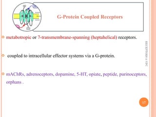  metabotropic or 7-transmembrane-spanning (heptahelical) receptors. 
 coupled to intracellular effector systems via a G-protein. 
RECEPTORS @ VPC 
 mAChRs, adrenoceptors, dopamine, 5-HT, opiate, peptide, purinoceptors, 
orphans . 
17 
 