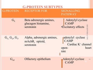 G-PROTEIN SUBTYPES 
G-PROTEIN RECEPTOR FOR SIGNALLING 
PATHWAY 
GS Beta adrenergic amines, 
glucagon histamine, 
serotonin 
Adenylyl cyclase 
CAMP 
•Excitatory effects 
Gi1, Gi2, Gi3 Alpha2 adrenergic amines, 
mAchR, opioid, 
serotonin 
adenylyl cyclase 
CAMP 
Cardiac K+ channel 
open- heart 
rate 
Golf Olfactory epithelium Adenylyl cyclase – 
CAMP 
RECEPTORS @ VPC 
21 
 