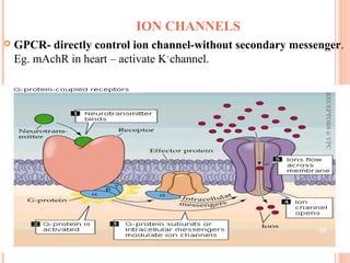 ION CHANNELS 
 GPCR- directly control ion channel-without secondary messenger. 
Eg. mAchR in heart – activate K+ channel. 
RECEPTORS @ VPC 
26 
 