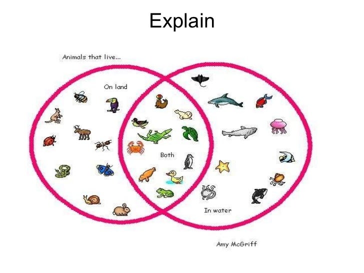 venn diagram venn diagram uses