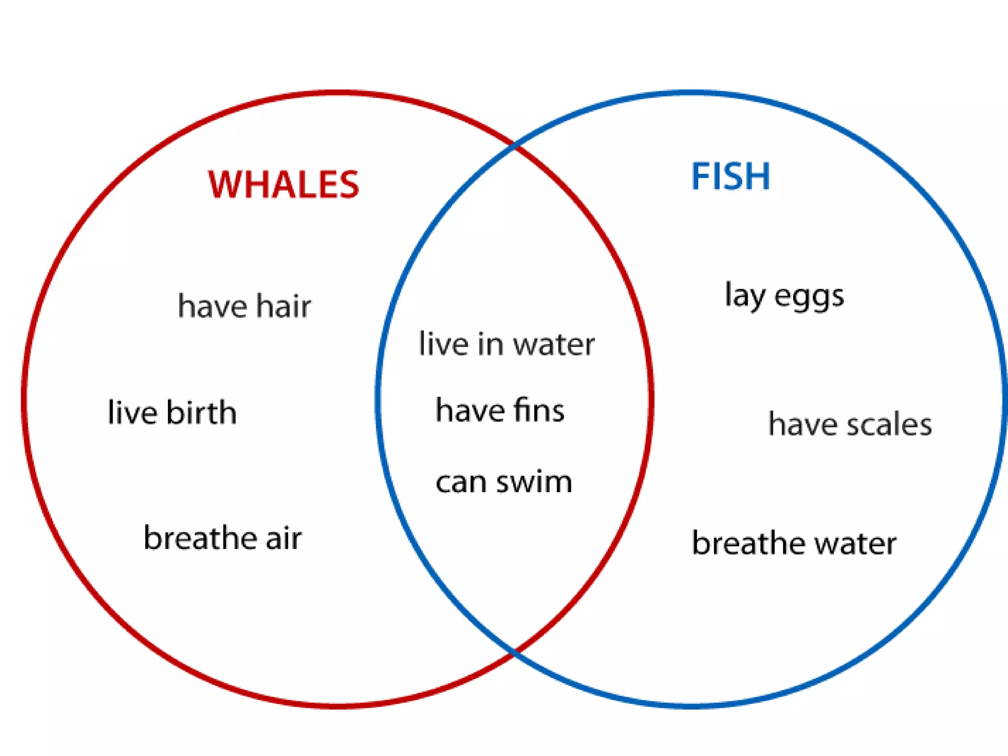 Venn diagram examples | PPT
