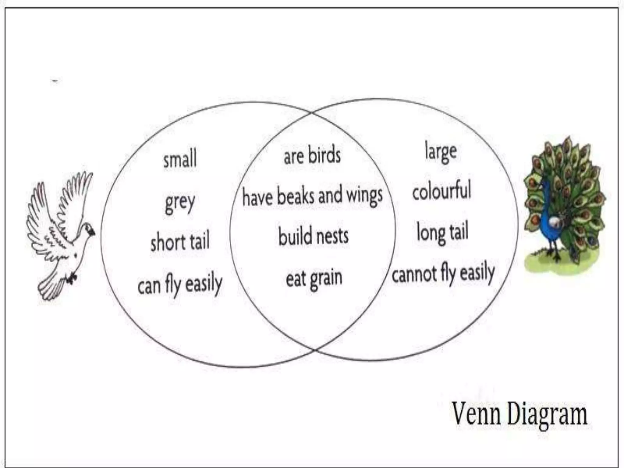 Venn diagram examples | PPT