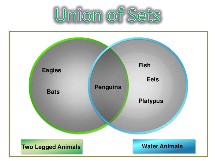 platypus venn diagram venn diagram platypus 28 images platypus keytar platypus venn diagram venn diagram platypus 28 images platypus keytar